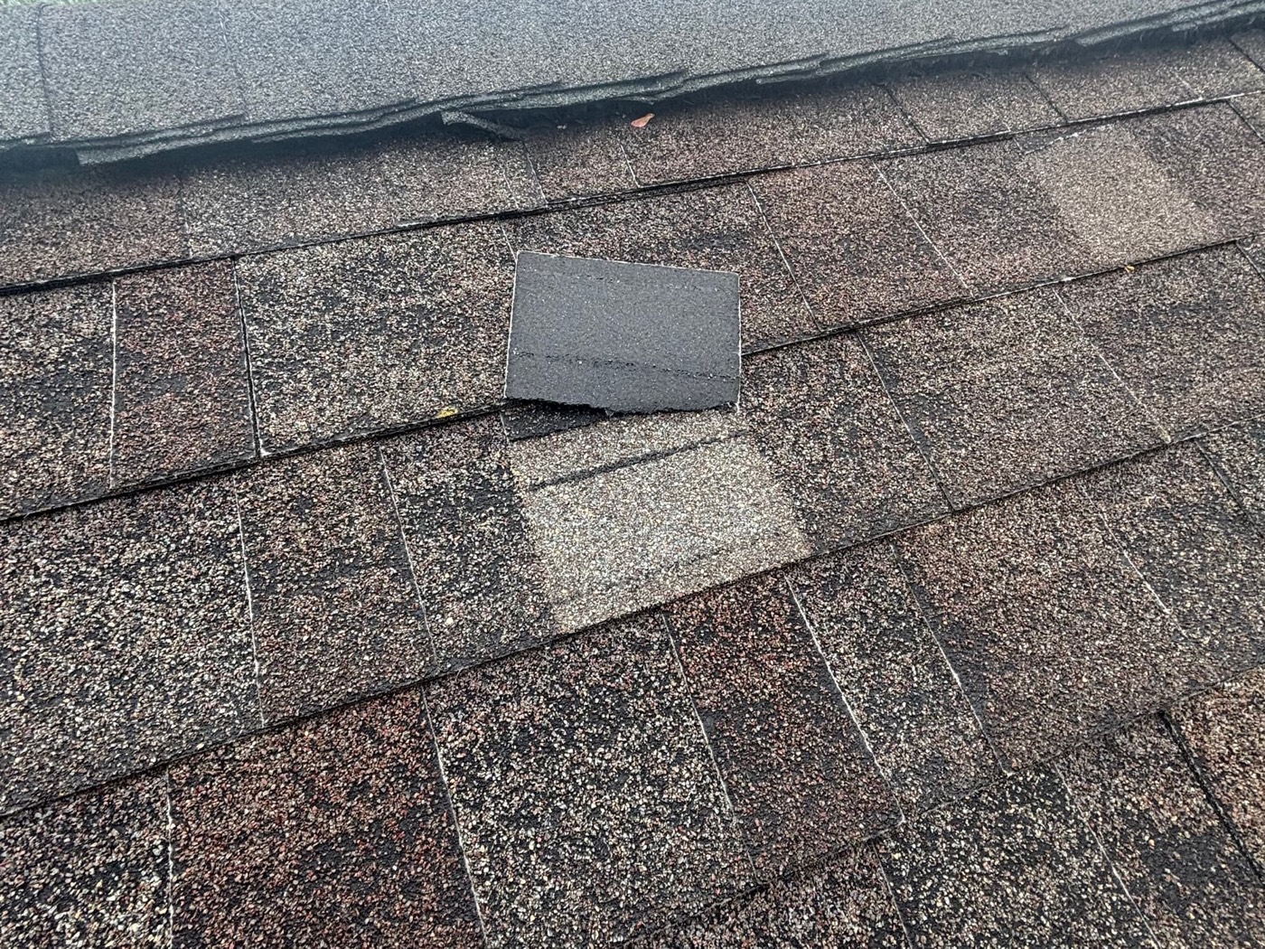 Wind-lifted shingle on a storm-damaged roof